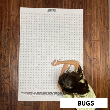 Bugs Giant Word Search Puzzle